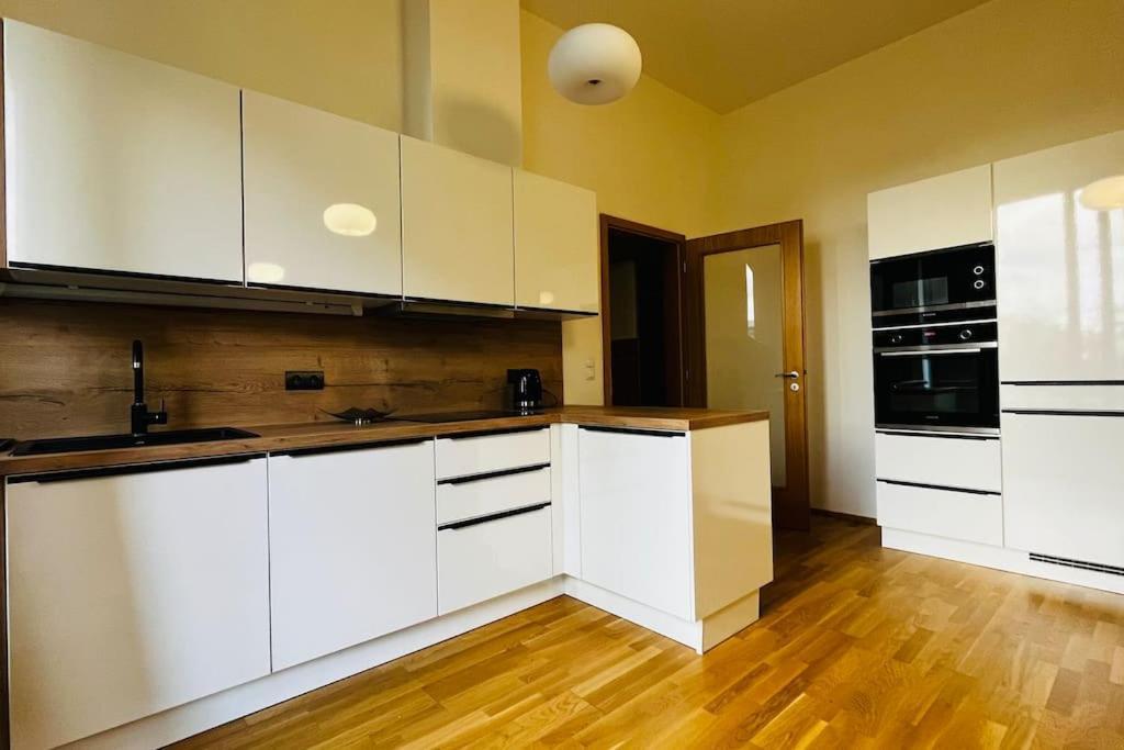 Apartment Holesovice, Garden, Garage Prague Luaran gambar