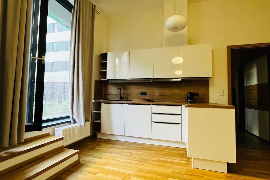 Apartment Holesovice, Garden, Garage Prague Luaran gambar