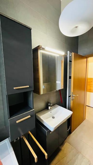 Apartment Holesovice, Garden, Garage Prague Luaran gambar