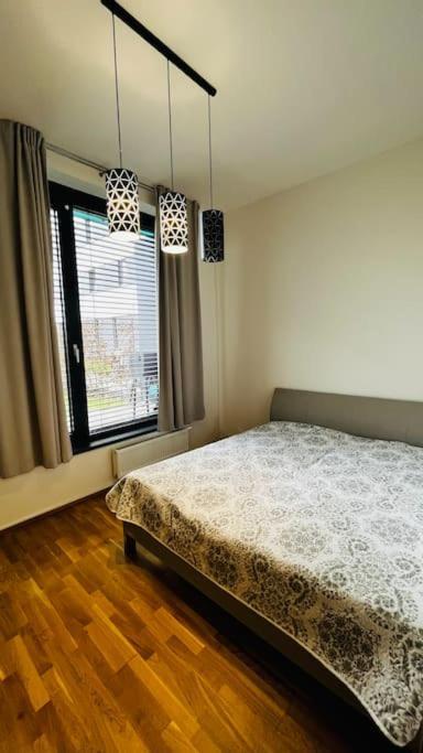 Apartment Holesovice, Garden, Garage Prague Luaran gambar